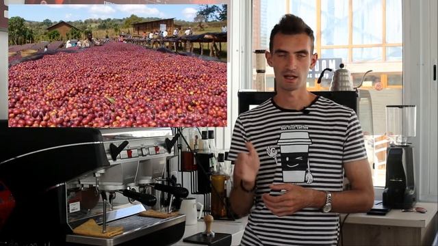 Сбор кофе, Обработка кофе, Халлинг смотреть онлайн