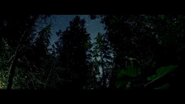 MFLEX SOUNDS - The secret of the forest /Dreamwave & Fantasy/ смотреть онлайн