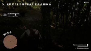 Животные Гуармы - Red Dead Redemption 2 [RUS]