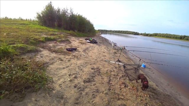 Рыбалка на реке Тура. Подлещик подъязок . Тюмень. Выезд-4. смотреть онлайн