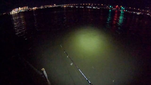 КОЛЕНКИ ЗАТРЯСЛИСЬ!!! Оживший НОЧНОЙ ЗАЦЕП заставил ОБ0СР@ТЬСЯ! смотреть онлайн