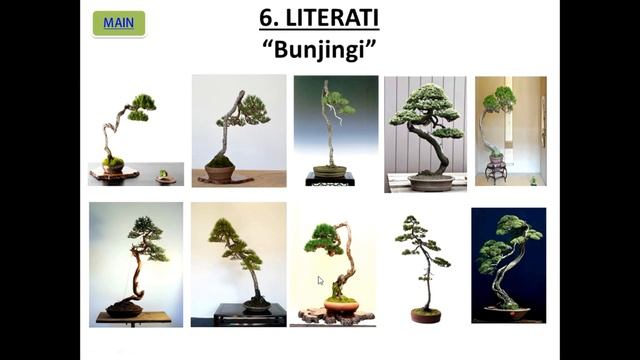 The different Styles of Bonsai (Explained)| [Beginner's Guide] смотреть онлайн