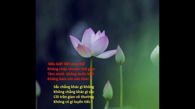 NGU UAN GIAI KHONG смотреть онлайн