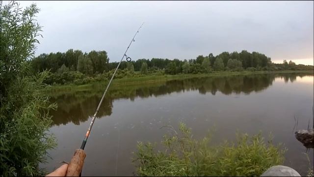 КАРАСЬ НА НАНО ДРОП ШОТ