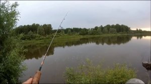 КАРАСЬ НА НАНО ДРОП ШОТ