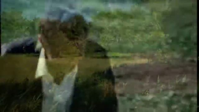 ПОМОЛИМСЯ ЗА РОДИТЕЛЕЙ автор ролика Ольга Вайсман смотреть онлайн