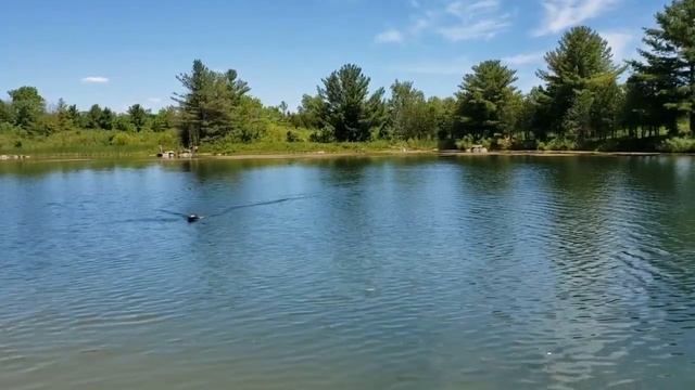 Автопилот на кораблик для рыбалки, первый запуск. смотреть онлайн