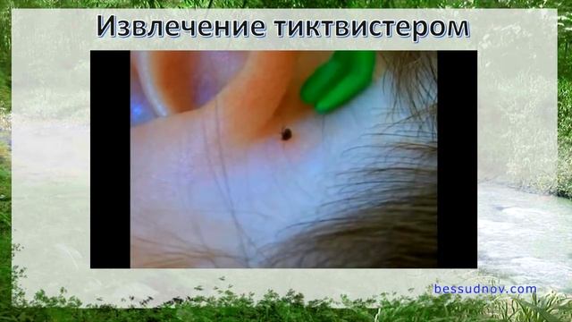 Магическое откровение