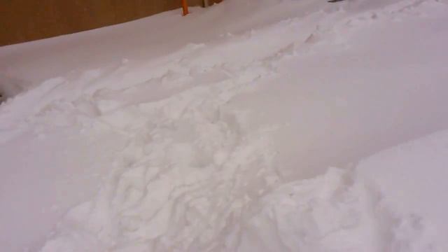 29 января 2014, Ростов-на-Дону, продолжение снегопада смотреть онлайн