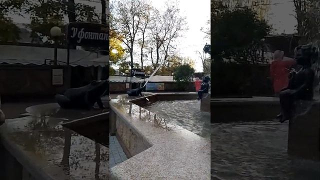 Ставрополь .осень 2023 смотреть онлайн