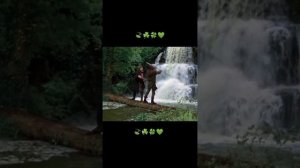 Michael Praed Michael Prince Robin Hood  Робин Гуд Майкл Принс Майкл Прейд Майкл Прайд 🍃☘️🍀💚