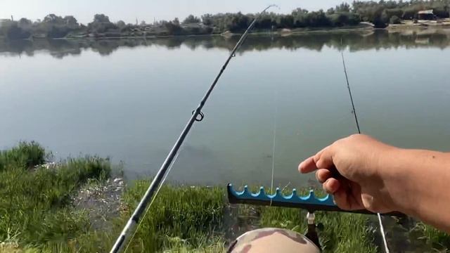 Рыбалка на Сырдарье 25.09.2021. смотреть онлайн