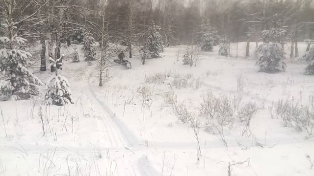 Переднеприводный  мотобуксировщик Волк Полярник