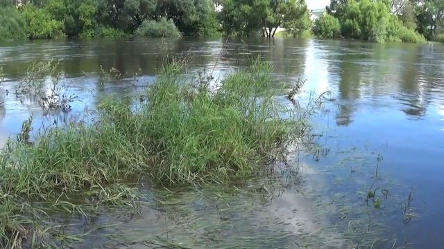 Авторский ритуал Инги Хосроевой. Просить у реки богатую долю... для всех. смотреть онлайн