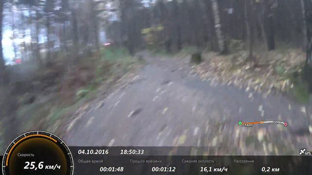 в сосновке смотреть онлайн