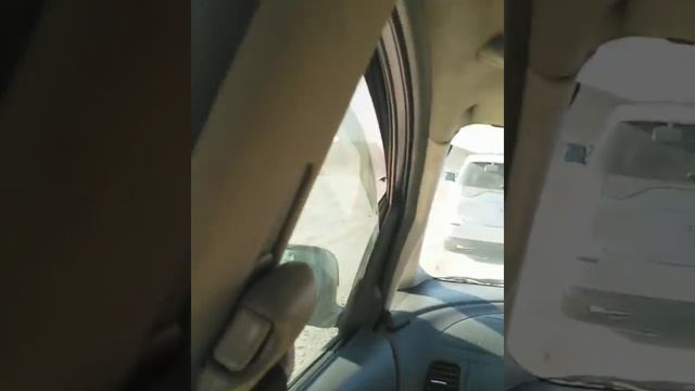 Дороги Казахстана. Трасса Шу-Шыганак. Скорость 50км в час. Магистраль Тараз-Астана. смотреть онлайн