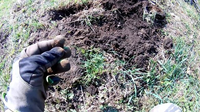 Эквинокс 800. Встреча с чупокаброй. Это знак. Полезли сокровища. Коп 2019 смотреть онлайн