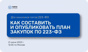 Как составить и опубликовать план закупок по 223-ФЗ