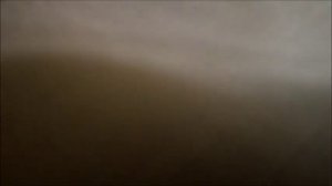 11/ Сирийский хомячок. Как  кричит хомяк! Скрытая камера. Моя мышка испугалась?