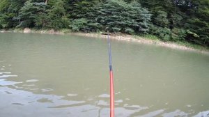 ПОПЛАВОЧНАЯ РЫБАЛКА ПОДУСТА НА РЕЧКЕ! МОМЕНТЫ СНЯТЫЕ НА КАМЕРУ.Экшн-камера SJCAM SJ7 STAR