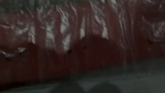 Проращивание семян томатов. Эксперимент 2. День 2. смотреть онлайн