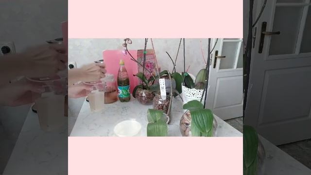 ЧУДО ПОДКОРМКА для Орхидей и не только! ДОМАШНИЙ РЕЦЕПТ! смотреть онлайн