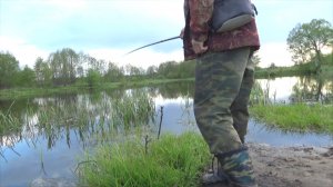 Крупный карась на поплавок!. - Как мне удалось его поймать