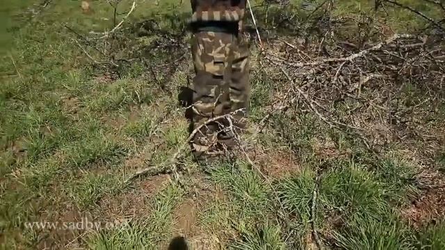 Яблоня обрезаем старое запущенное дерево. Урок 11 курса по обрезке плодовых деревьев Николая Рабушк смотреть онлайн