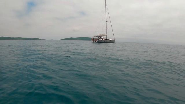 Обычный выход в море на парусе обернулся неожиданной встречей смотреть онлайн