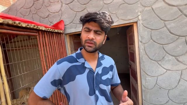 Sabtain Ka Surprise Flop Hogea?Mainy New Birds Dekh lye смотреть онлайн