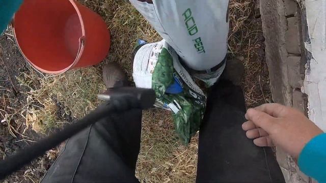 Посадка голубики, Как посадить голубику, Техника посадки голубики, Садим голубику,Ягода голубика Ч- смотреть онлайн