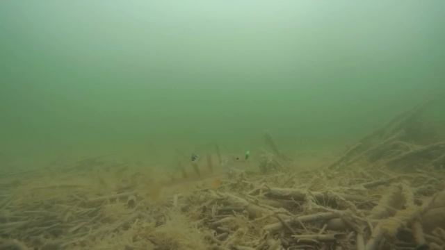 КРУПНЫЕ ГОРБАЧИ АТАКУЮТ МОРМЫШКУ!!! Ловчая мормышка на окуня! Ловля окуня на мормышку с мотылём! смотреть онлайн