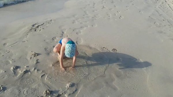 пляж Аль Мамзар,  Al Mamzar Beach Park