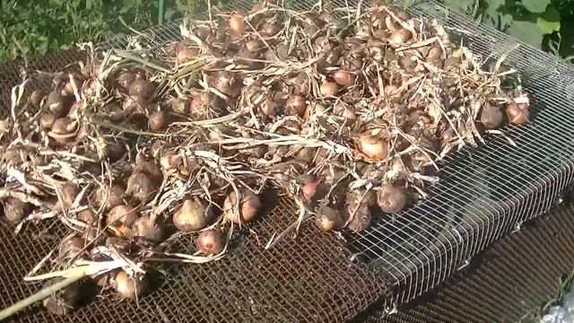 СНИМАЕМ ШИФЕР/ВАРЮ ЩИ И ДЕЛАЮ САЛАТ/ОСКОРБЛЯЮТ МУЖА/ДОМАШНИЙ СЫР/БЫСТРЫЙ КАТЕР смотреть онлайн