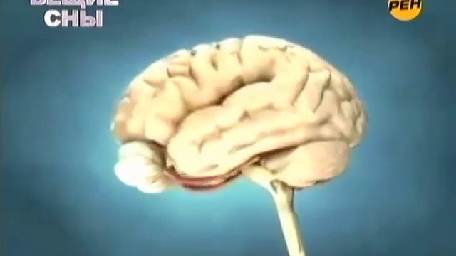 Вещие сны Тайны мира смотреть онлайн