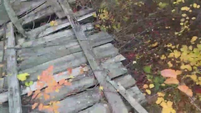 💥💥💥💥💥 смотреть онлайн