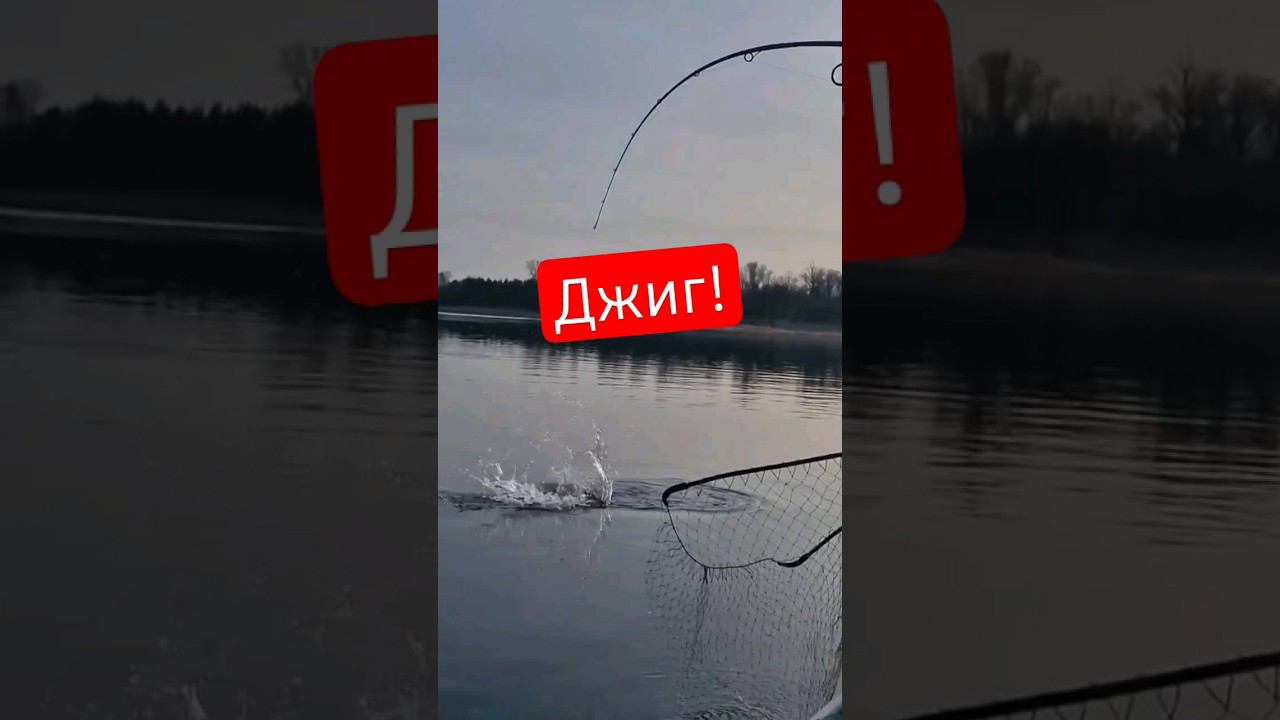 Азартная щука! смотреть онлайн