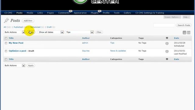 Filter and Search Pages and Posts in Wordpress смотреть онлайн