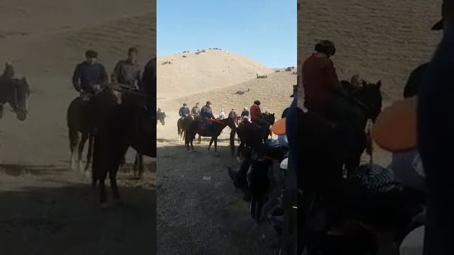 Манас мин жыгач смотреть онлайн