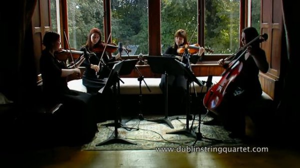 Dublin String Quartet: Air on a G String