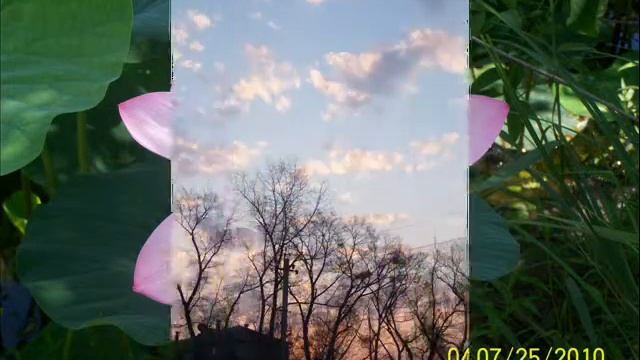 Наш любимый Лесозаводск смотреть онлайн
