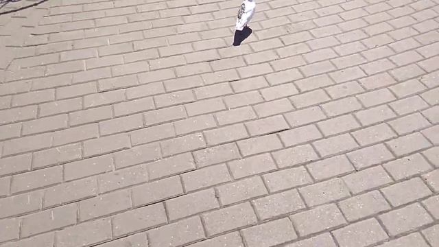 Белый голубь