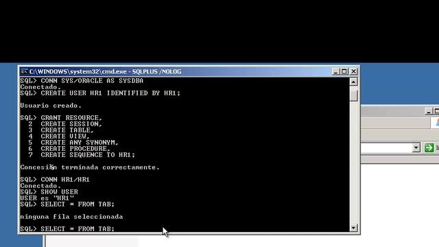 Importar y Exportar en Oracle 11g Data dump смотреть онлайн