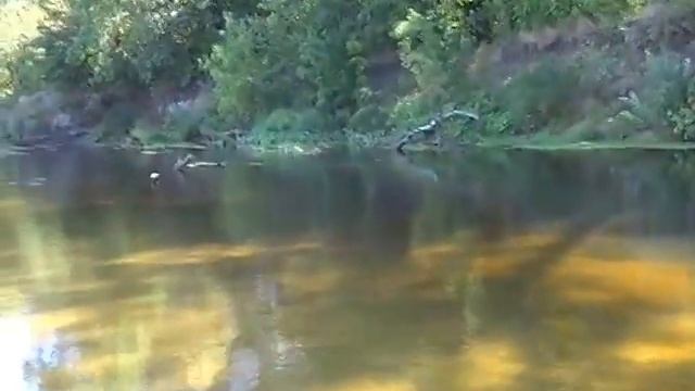 Размышления на природе - Как начать жить сейчас, а не в далеком будущем! смотреть онлайн