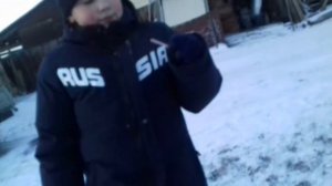 зимние забавы/Pets TV