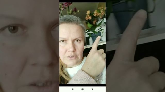Ещё раз про фаленопсисы. Как я поливаю свои орхидеи. Можно ли поливать фаленопсисы из душа??☝?????? смотреть онлайн
