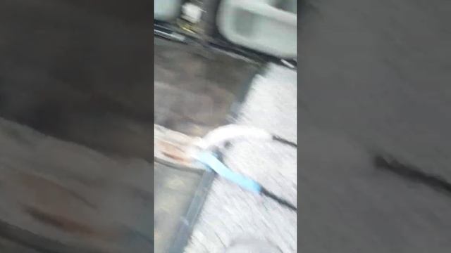 Шумоизоляция Лексус рх 330 смотреть онлайн