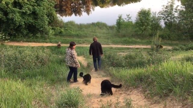 Озера Вероярви и Хепоярви смотреть онлайн