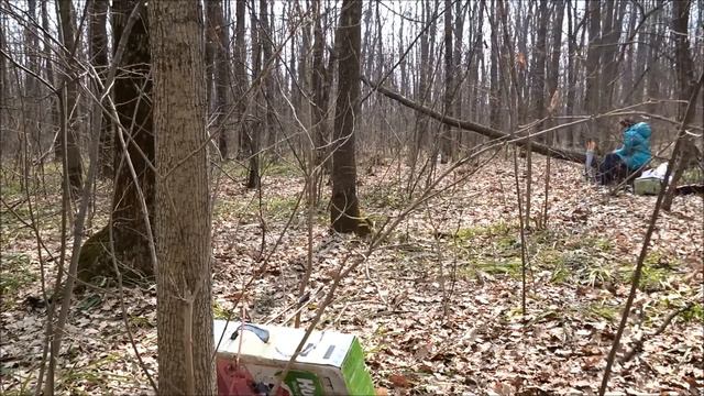 Очередная лесная стрельба из лука и анонс планов по турниру. смотреть онлайн