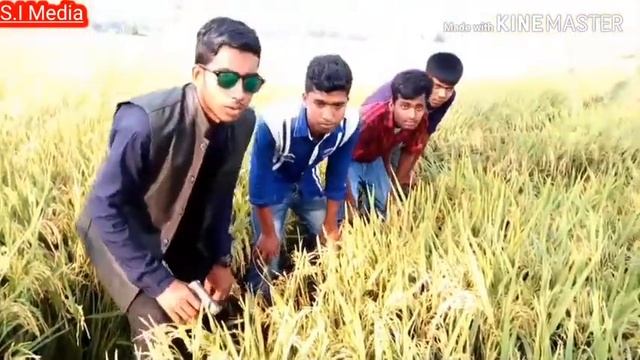 দেশি CID new ড্রাক্সের নেশাই পড়ে খুন Bangla fanny part...7... смотреть онлайн